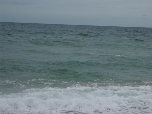 DSCN0701