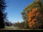 Seasons of Biltmore House