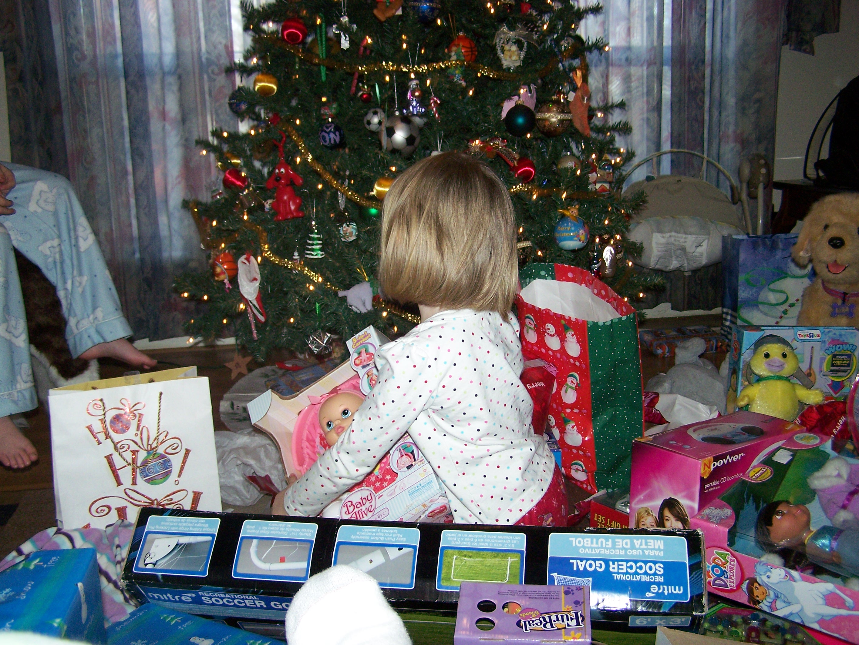 Christmas 2008 054.jpg