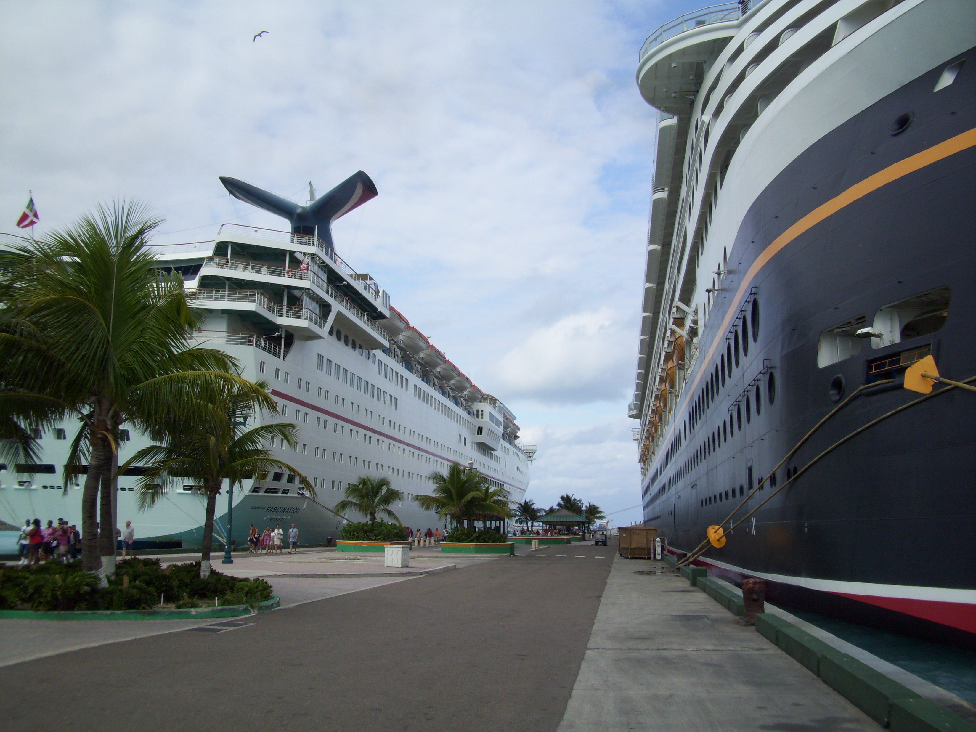 Our ship compared to Disney ship