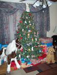 Christmas 2008 024.jpg