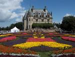 Summer 2009 - Flower Carpet and Lilypads