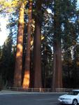 Kings Canyon National Park